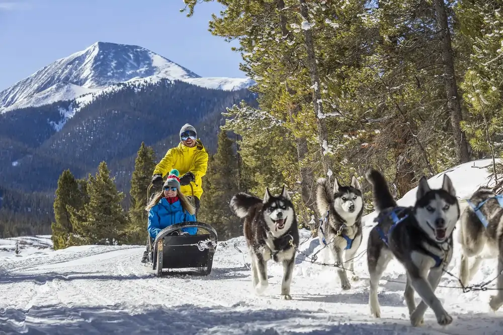 Things To Do Dogsledding